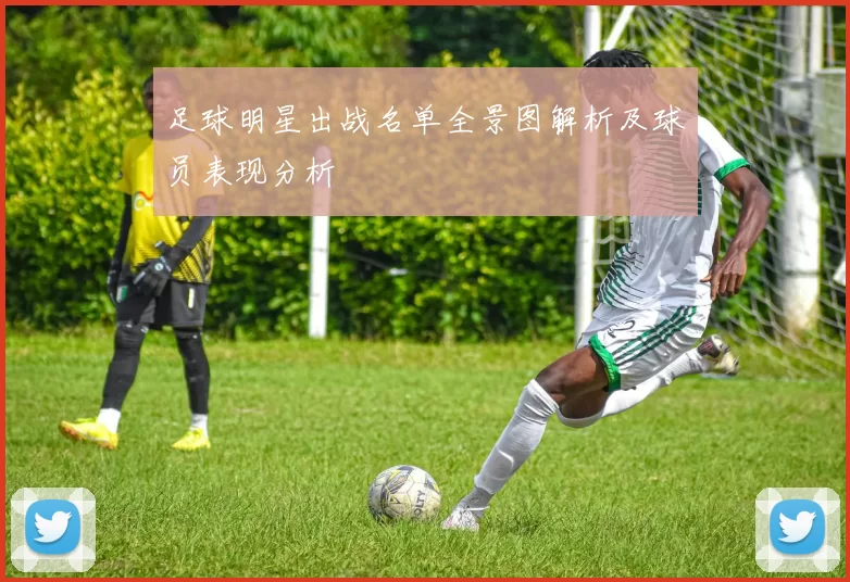 足球明星出战名单全景图解析及球员表现分析