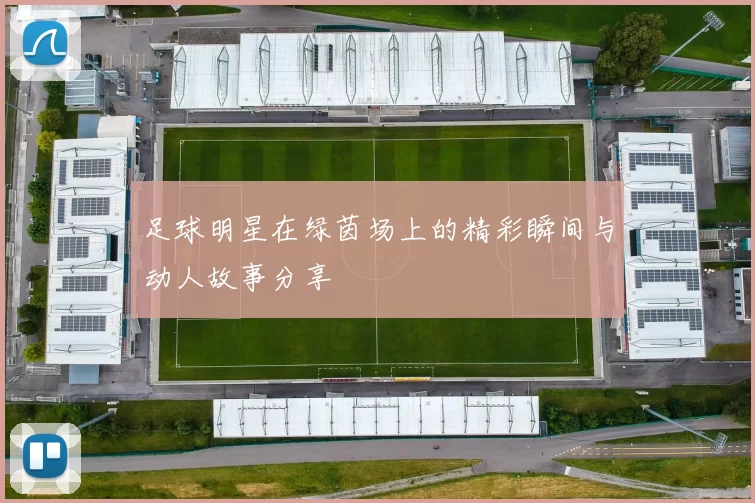 足球明星在绿茵场上的精彩瞬间与动人故事分享