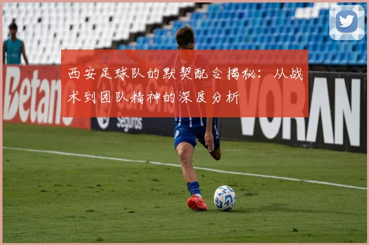 西安足球队的默契配合揭秘：从战术到团队精神的深度分析