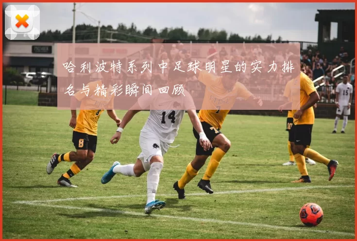 哈利波特系列中足球明星的实力排名与精彩瞬间回顾
