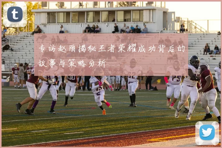 专访赵丽揭秘王者荣耀成功背后的故事与策略分析