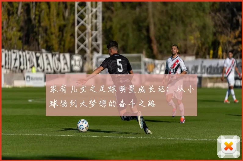 家有儿女之足球明星成长记：从小球场到大梦想的奋斗之路