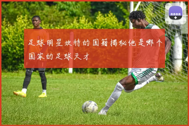 足球明星坎特的国籍揭秘他是哪个国家的足球天才