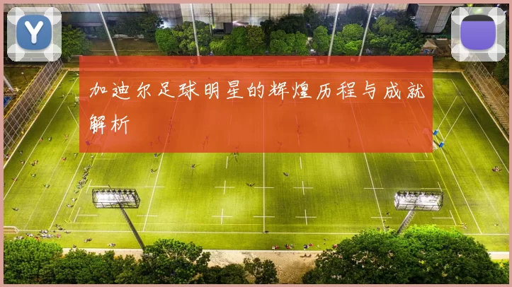 加迪尔足球明星的辉煌历程与成就解析