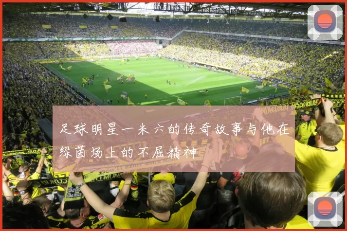 足球明星一米六的传奇故事与他在绿茵场上的不屈精神