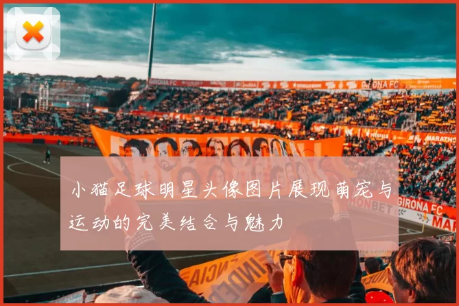 小猫足球明星头像图片展现萌宠与运动的完美结合与魅力
