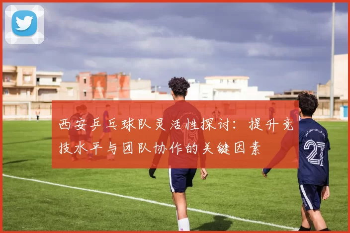 西安乒乓球队灵活性探讨：提升竞技水平与团队协作的关键因素