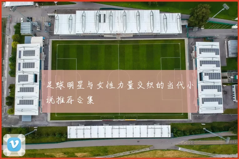足球明星与女性力量交织的当代小说推荐合集