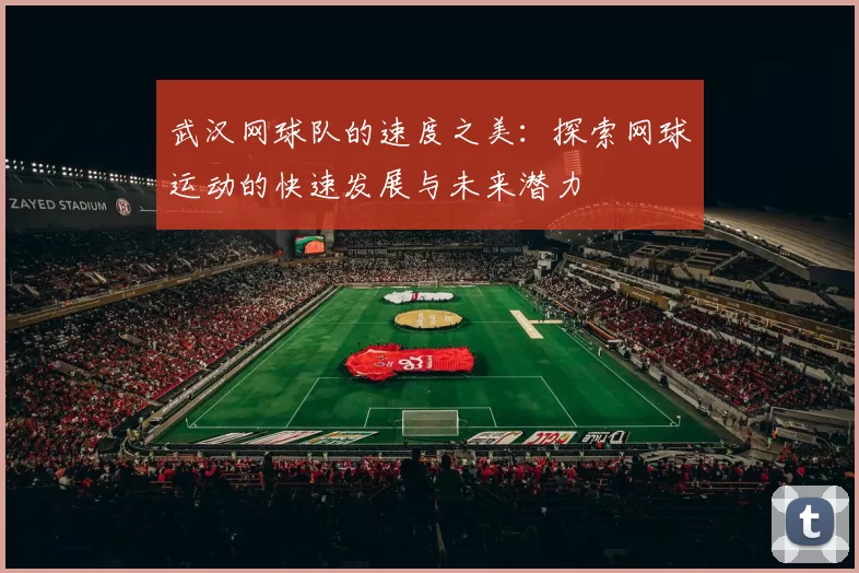 武汉网球队的速度之美：探索网球运动的快速发展与未来潜力