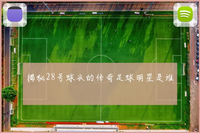 揭秘28号球衣的传奇足球明星是谁