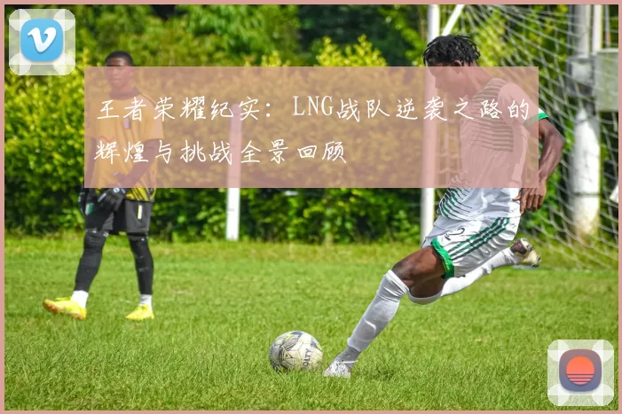 王者荣耀纪实：LNG战队逆袭之路的辉煌与挑战全景回顾