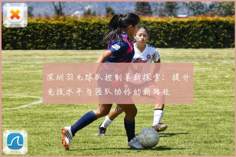 深圳羽毛球队控制革新探索：提升竞技水平与团队协作的新路径
