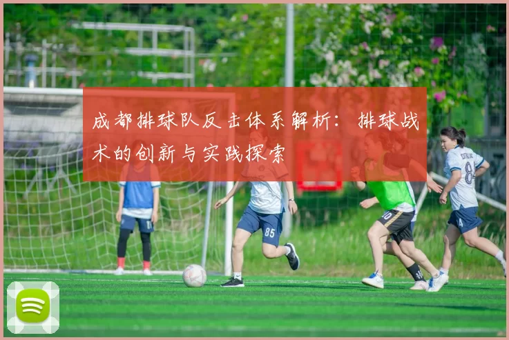 成都排球队反击体系解析：排球战术的创新与实践探索