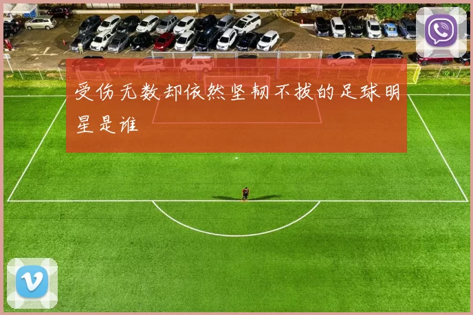受伤无数却依然坚韧不拔的足球明星是谁